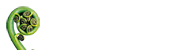 DBTNZ